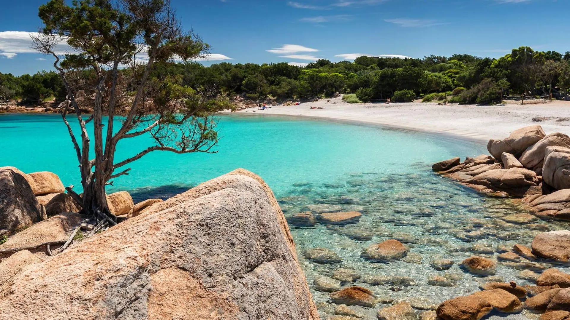Isola Sarda Appart Nice Murta Maria Lägenhet